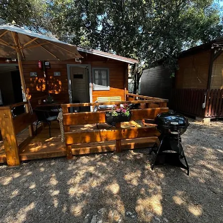 Daisy A,b * Пакоштане