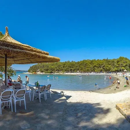 Daisy A,b * Пакоштане