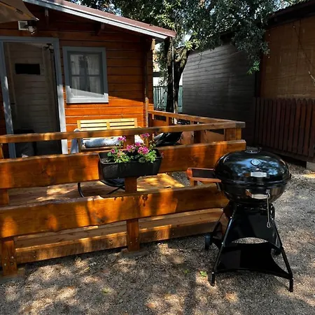 Daisy A,b * Pakostane