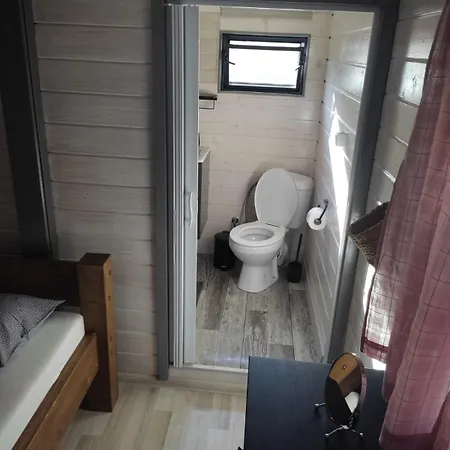 Daisy A,b Pakoštane