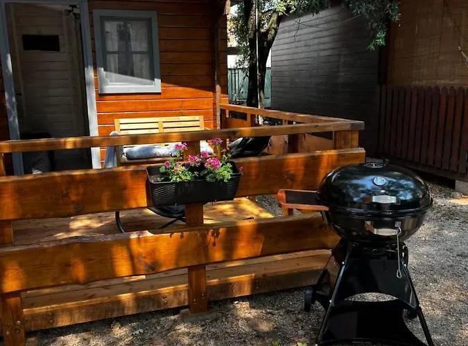 Daisy A,b * Pakostane