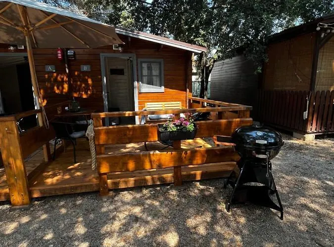 Daisy A,b * Pakostane