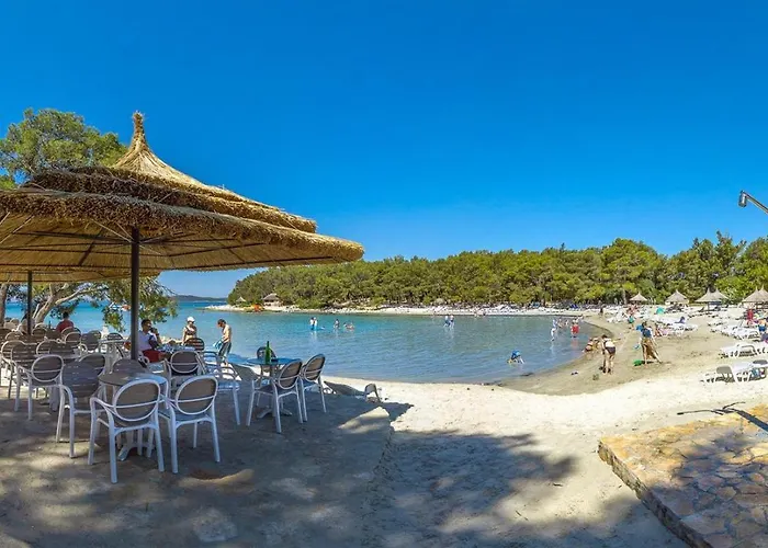 Daisy A,b * Pakostane